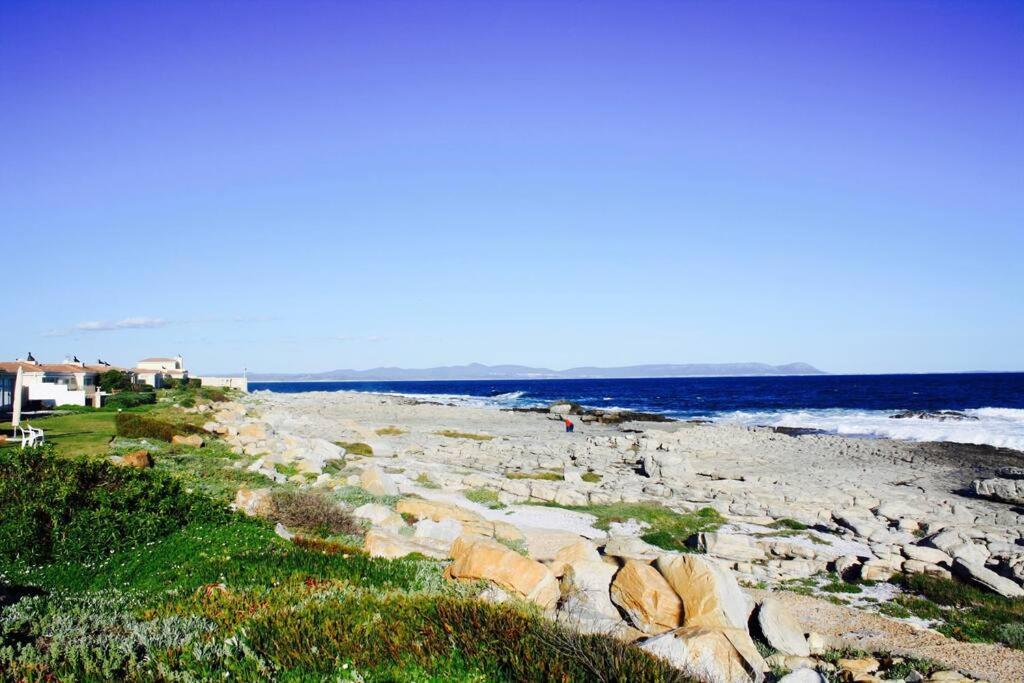 Easy Going Hermanus With An Ocean View Lägenhet Exteriör bild