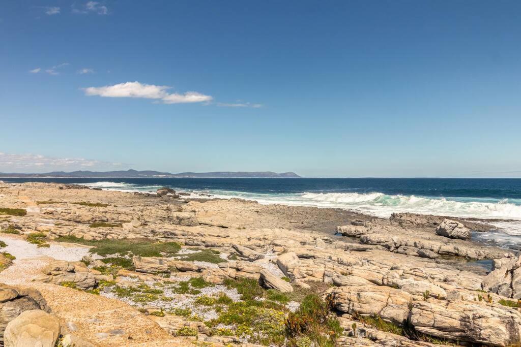 Easy Going Hermanus With An Ocean View Lägenhet Exteriör bild